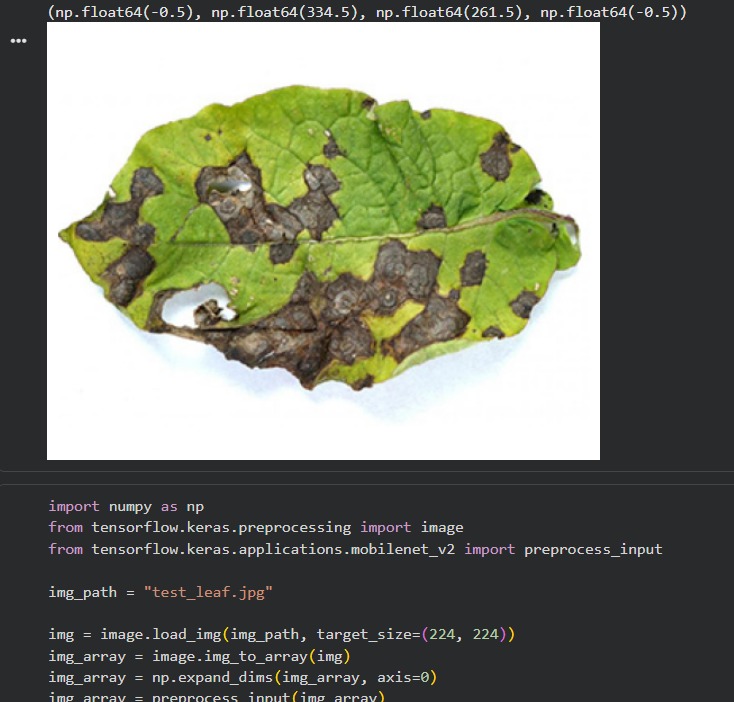0xhonodev's tweet photo. Hello guys, how was your day?

Mine’s been busy training a deep learning model for potato leaf disease prediction.
Multi-class classification with 7 different diseases using  (MobileNetV2) | Input size: 224 × 224

#DeepLearning https://t.co/pJ1mGx85cd