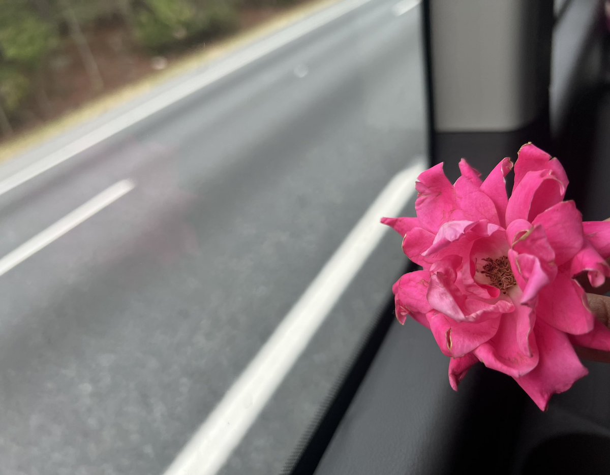 Lai (@abnormalg1rl) on Twitter photo 