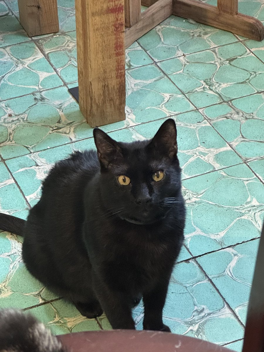 Carlos Muaz tweet media