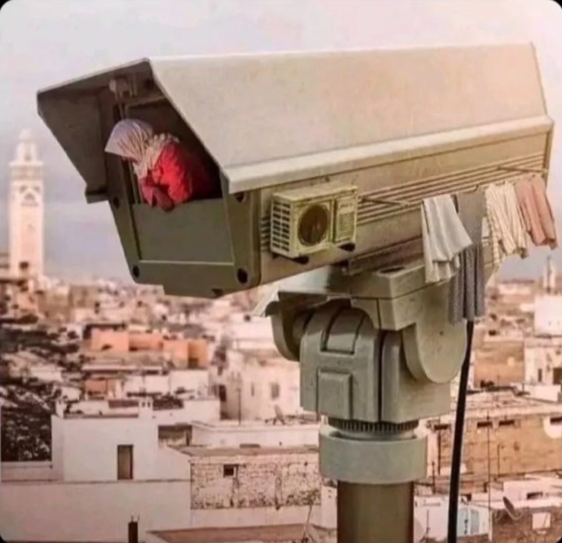 Your neighbors when you come home with a new girl 🤣🤣