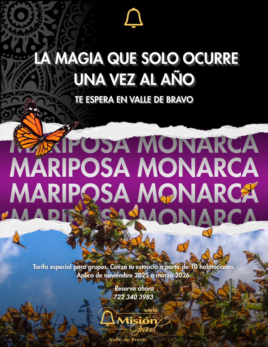 🦋 Aprovecha esta temporada de Mariposas Monarca 🦋