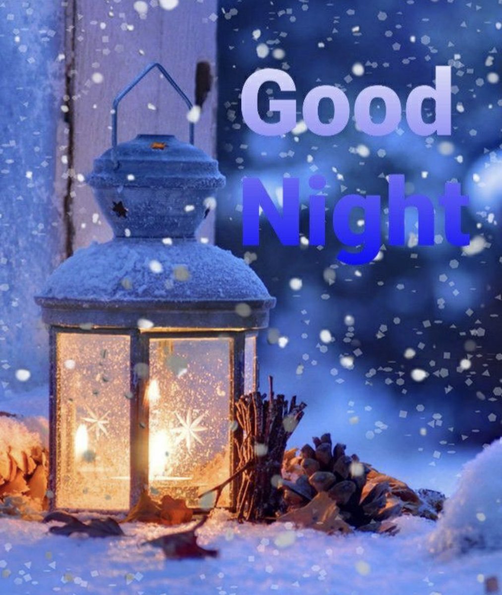 Lieve Deckers tweet media