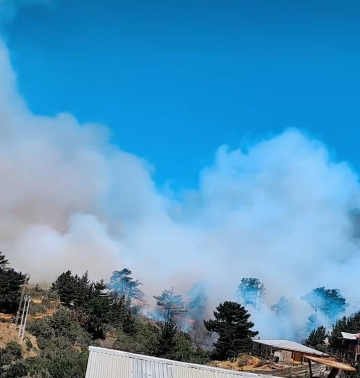 #AMPLIAMOS:  13 carros y dos vehículos de apoyo en el incendio forestal declarado de Laguna Verde en Valparaíso. Los bomberos están trabajando en la protección de viviendas amenazadas en la zona.