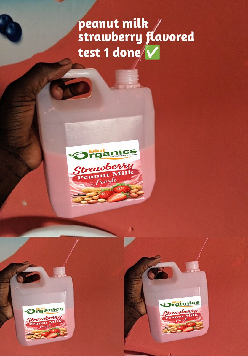 NillyRonalds's tweet photo. @BiotOrganics we’re now introducing peanut milk—a plant-based, lactose-free alternative, perfect for children and households. Our first strawberry flavor is in testing. We turn product residue into poultry feed, supporting a circular economy &amp; sustainable agribusiness in Uganda. https://t.co/FbkXgGU9sW
