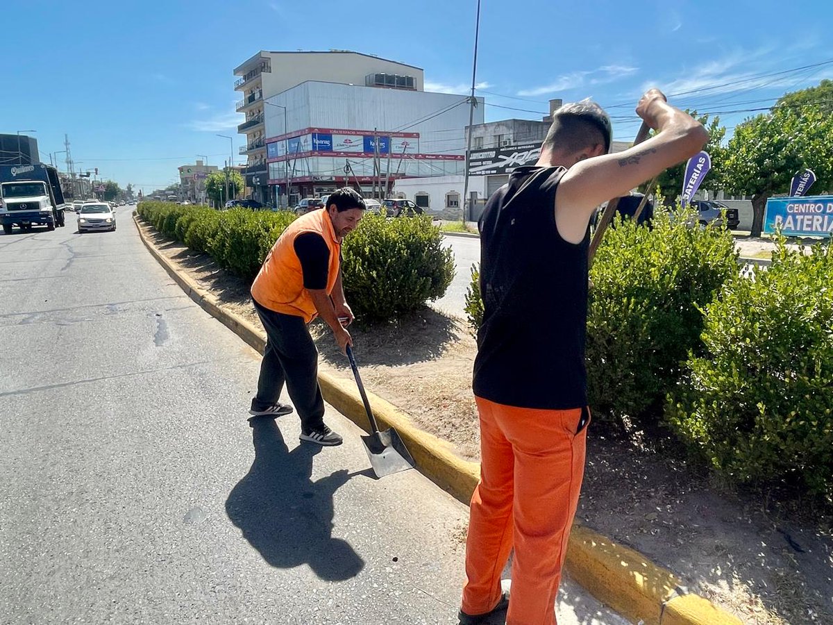 ✅HIGIENE URBANA EN JOSÉ C. PAZ

🟢Estamos erradicando los basurales en el distrito. Mediante la secretaría de obras y servicios realizamos trabajos de emprolijamiento y mantenimiento sobre la ruta 197 en #JoséCPaz

#JCPCrece
#CiudaddelAprendizaje