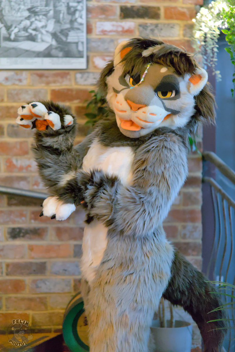 sodayeena's tweet photo. Something doesn’t seem right here… 🦁

Swapped suits with the lovely @_Mane_stream_ !! 
Our colour palletes matched almost perfectly 🤣🧡

✂️: OktaviasCreatures &amp; matcha_mayhem_
📸: FelixtheFerret https://t.co/henHnz38f7