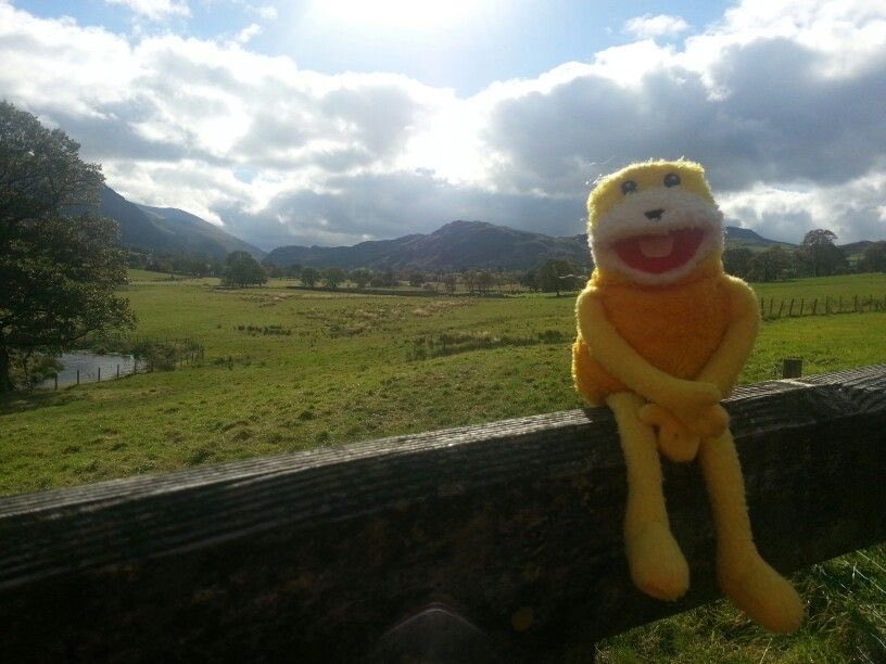 sadderlizards's tweet image. just decided that everything will be okay