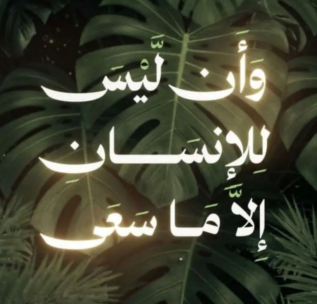 Roza.. (@msys26404420) on Twitter photo 