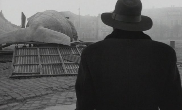 Mario Barreto tweet media