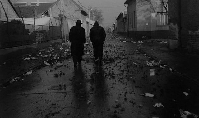 Mario Barreto tweet media