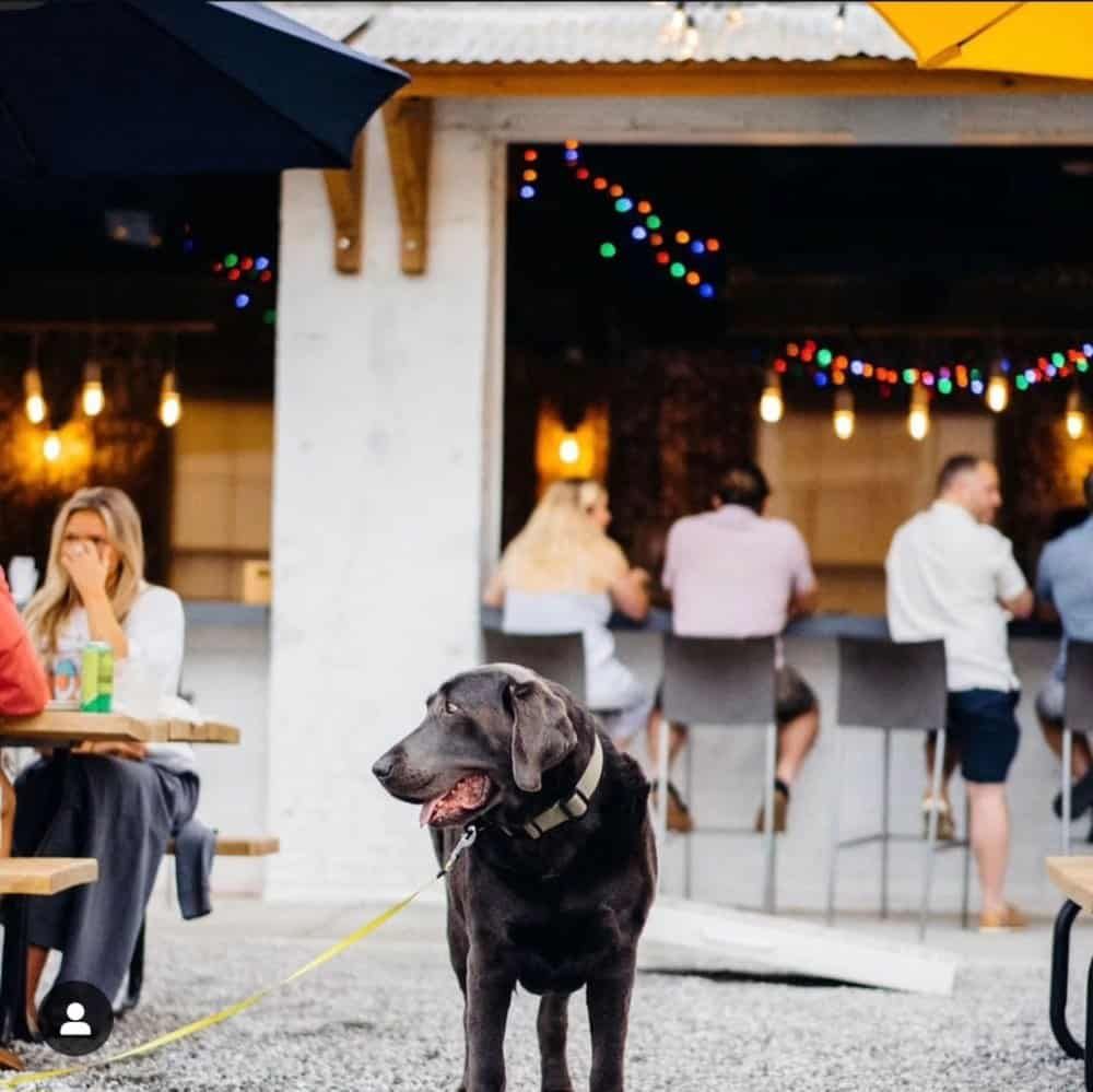 macsurfer's tweet image. shumacher.com/gainesville-ga…