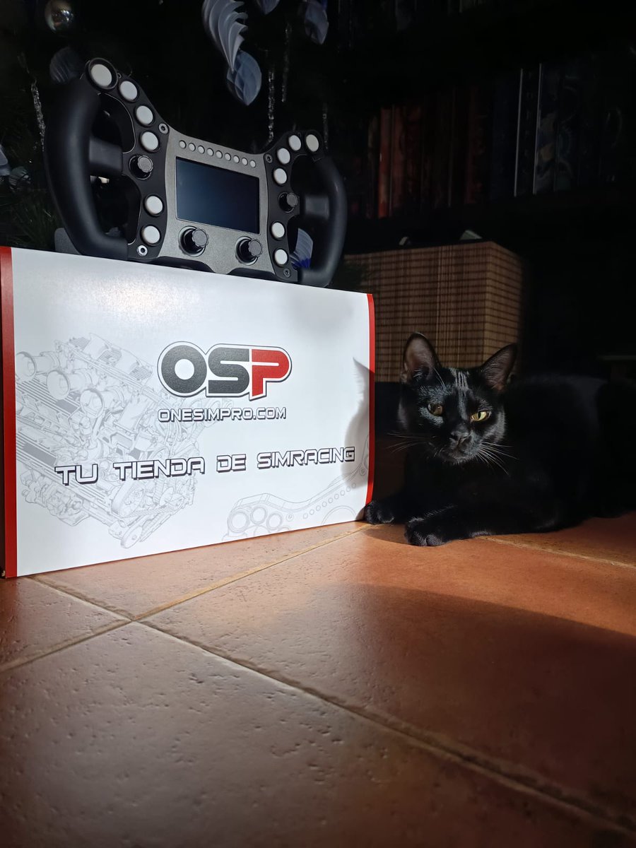 Kira Wolf tweet media