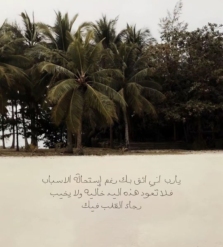 بُن tweet media