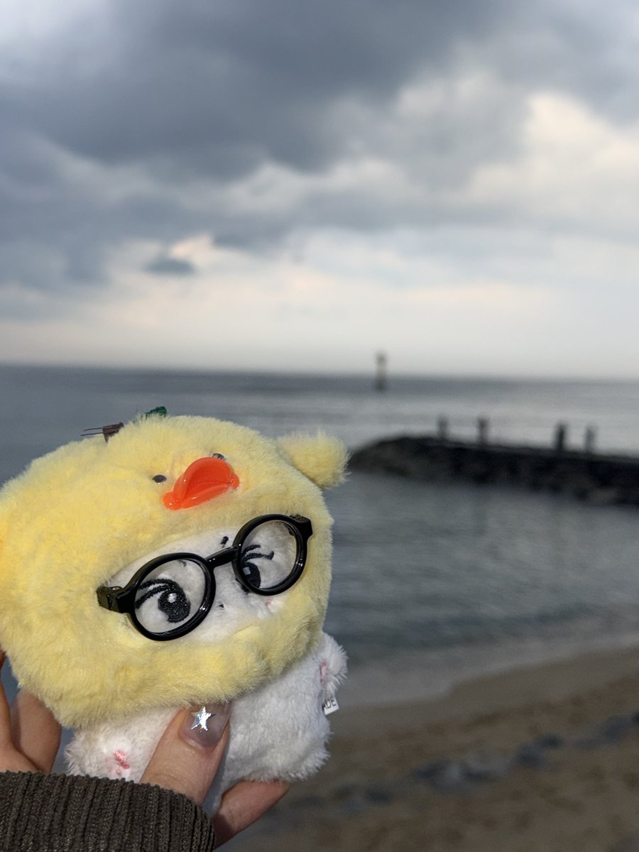 o20o9_'s tweet photo. 꼬미 바다구경🌊🐟 https://t.co/GfY3nbXYxS