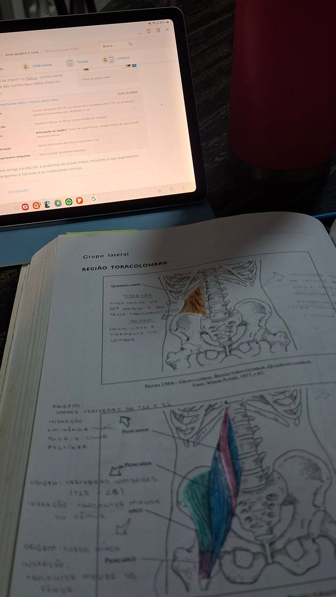 mulstd's tweet image. 06.01.2026