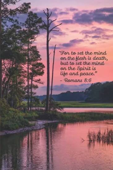 allipaul🙏💛🕊️ (@allipaul1976) on Twitter photo 