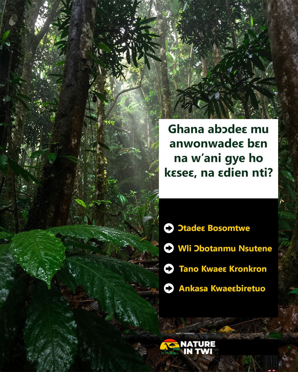 natureintwi's tweet photo. Diɛn na w’ani gye ho kɛseɛ? #natureintwi #learntwi #world #nature #speaktwi #scienceintwi #akanlanguage #asantetwi #akuapemtwi #ghanaabɔdeɛ #ewiaseabɔdeɛ
#ghananaturejournal #ghananationaljournal #gideonhighlander #ghana https://t.co/iNSQOHaWFl