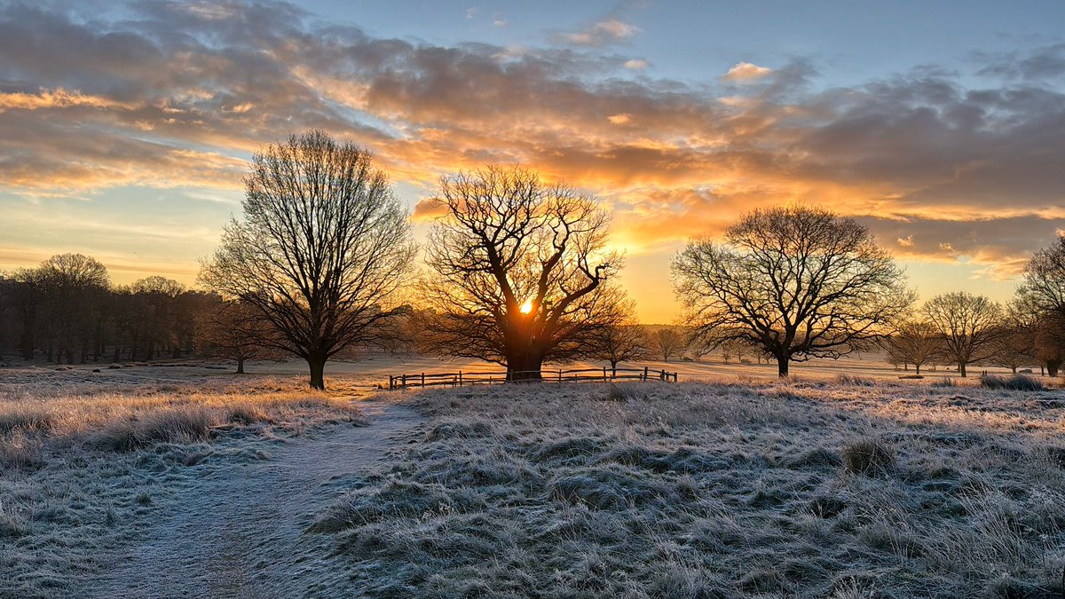 Amanda Boardman tweet media