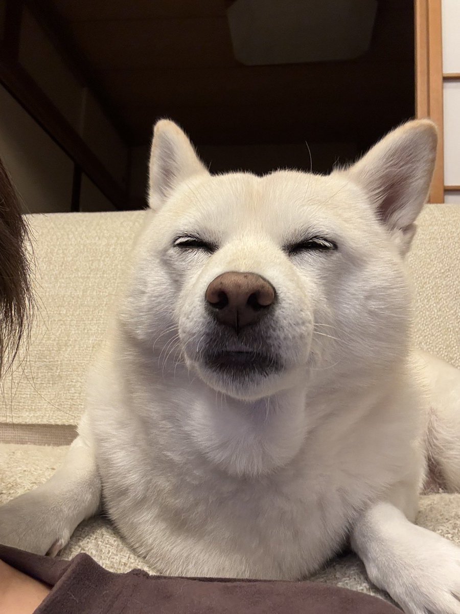 「ごめんなさい、こう言う時どんな顔をすればいいかわからないの…」「笑えばいいと思うよ」