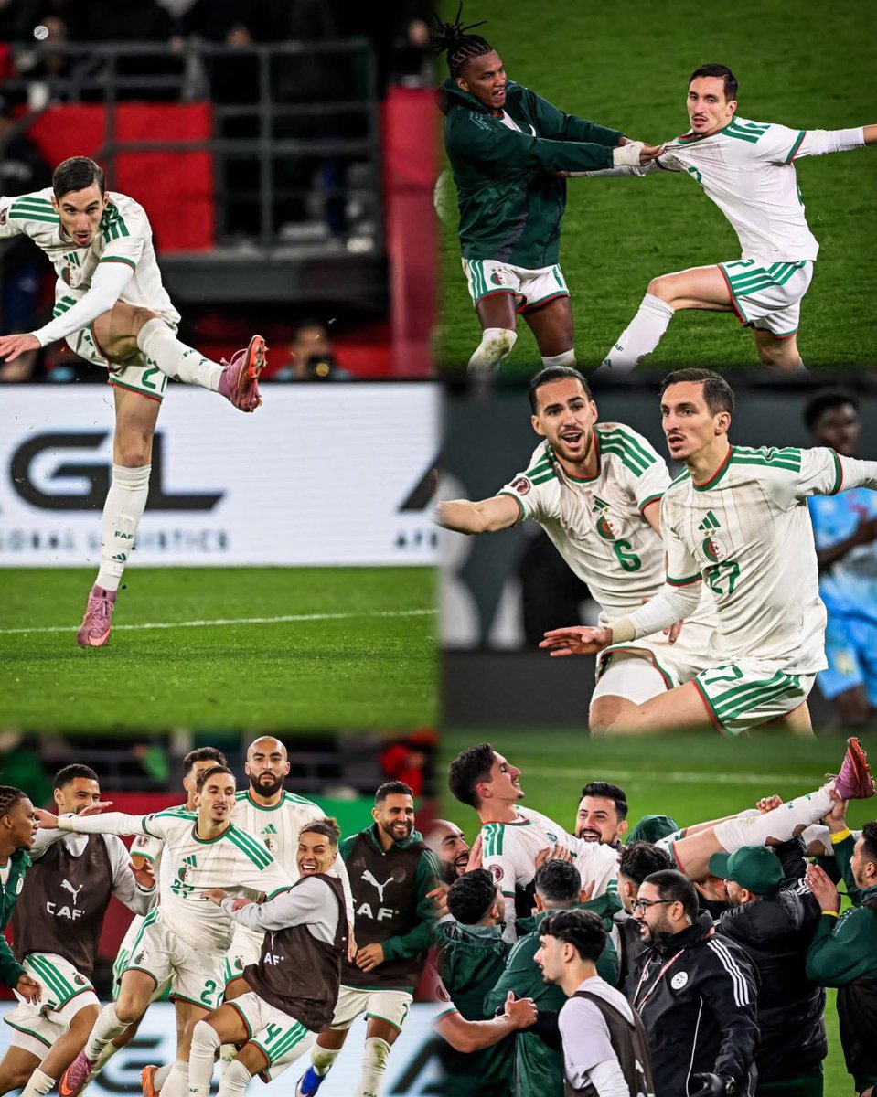 hafid derradji حفيظ دراجي tweet media