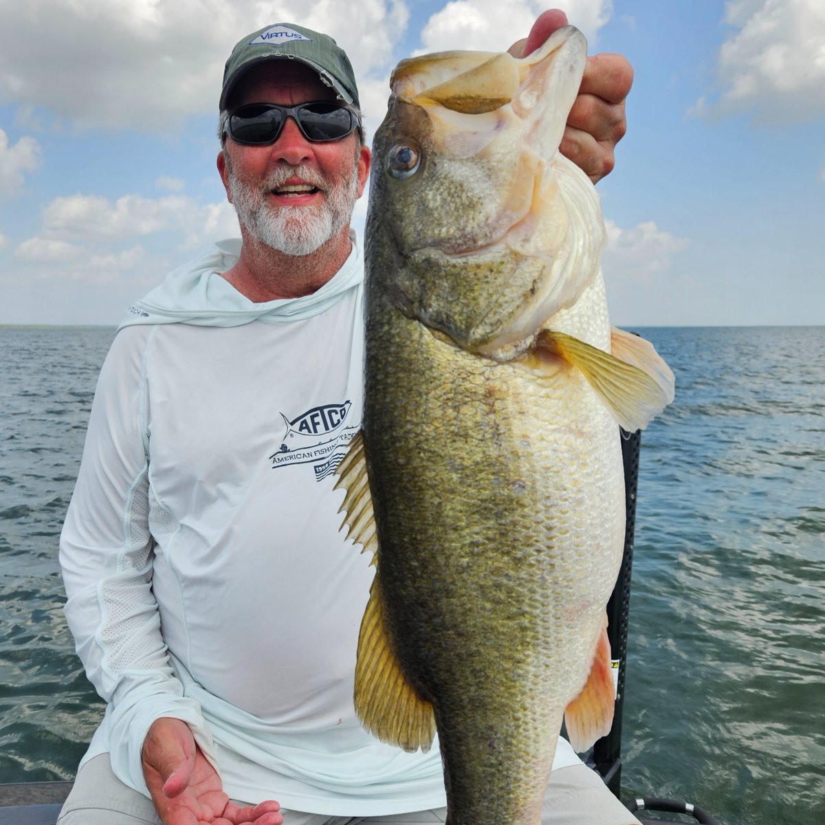 TXInsiderFishReport tweet media