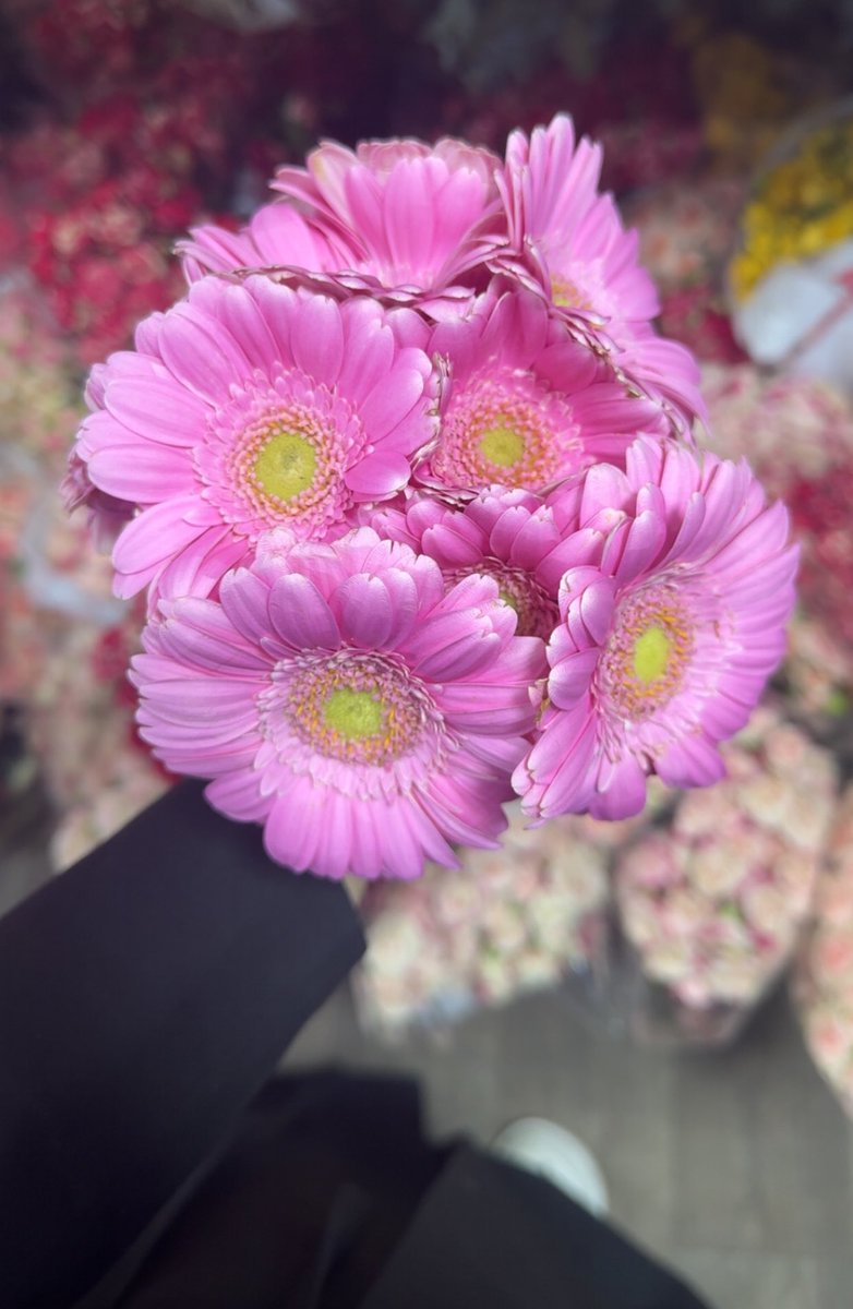 IIPromis1's tweet photo. 💕 https://t.co/CsSwqhtLJH