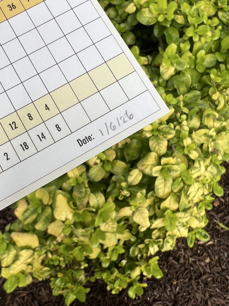 Project X Golf tweet media