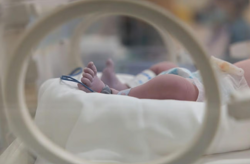 UCLA Broad Stem Cell tweet media