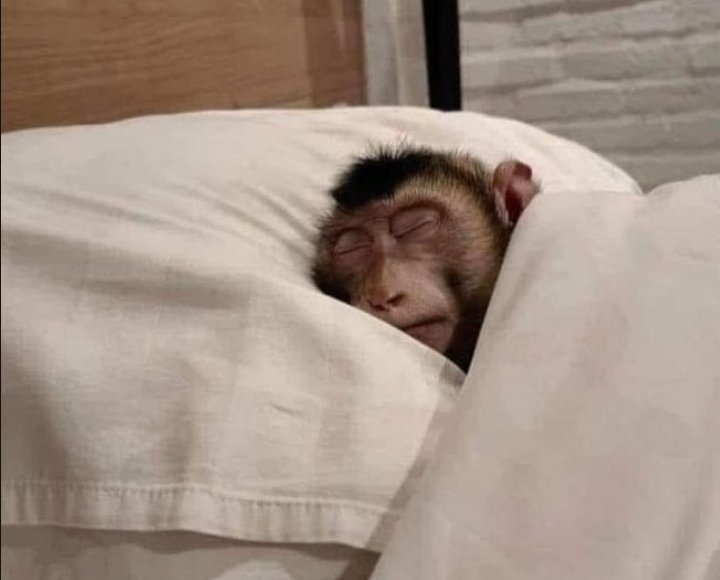 debruyne_12's tweet image. “I study better at night”

Me in the night: