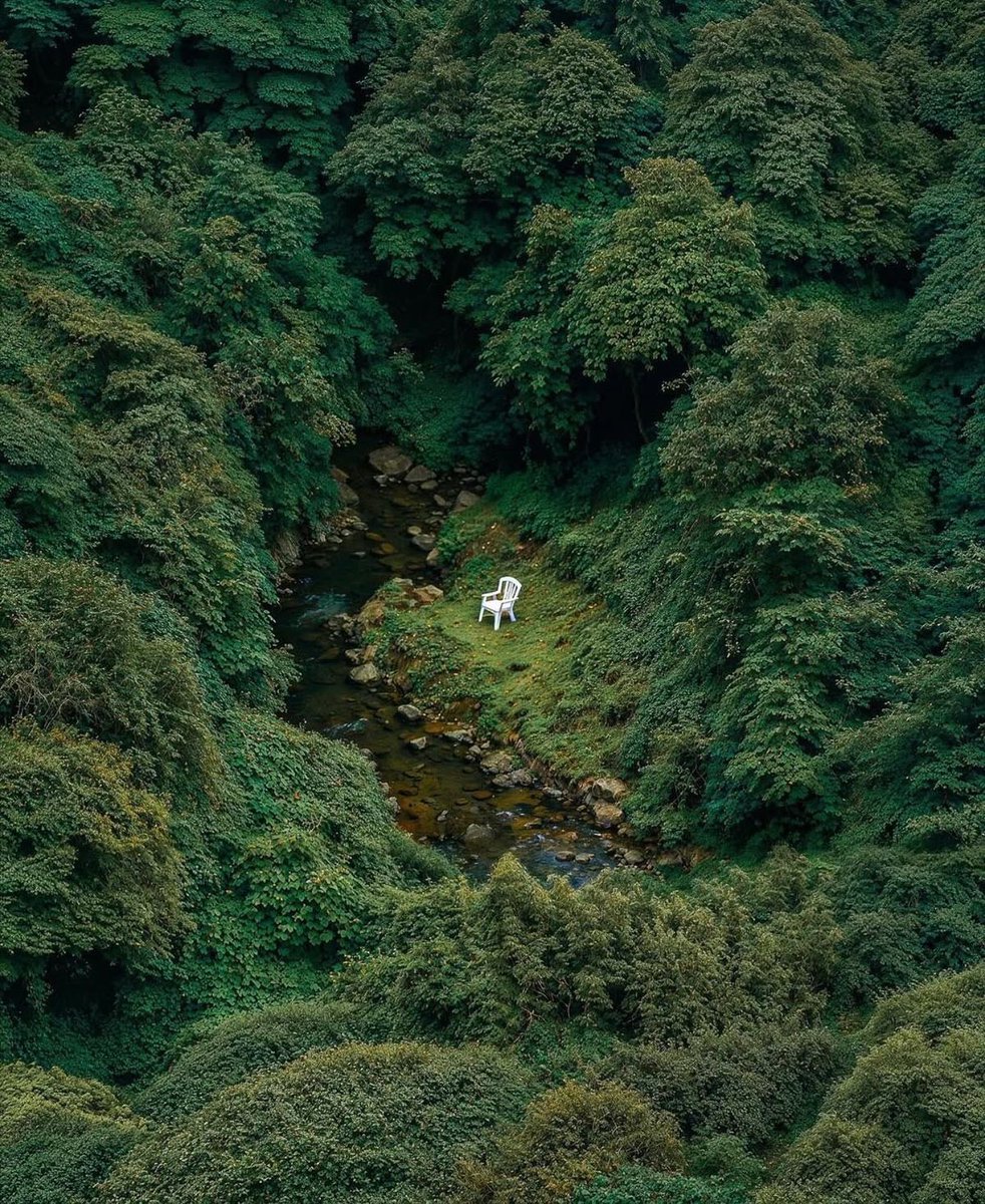 Tree (@4__iu) on Twitter photo 