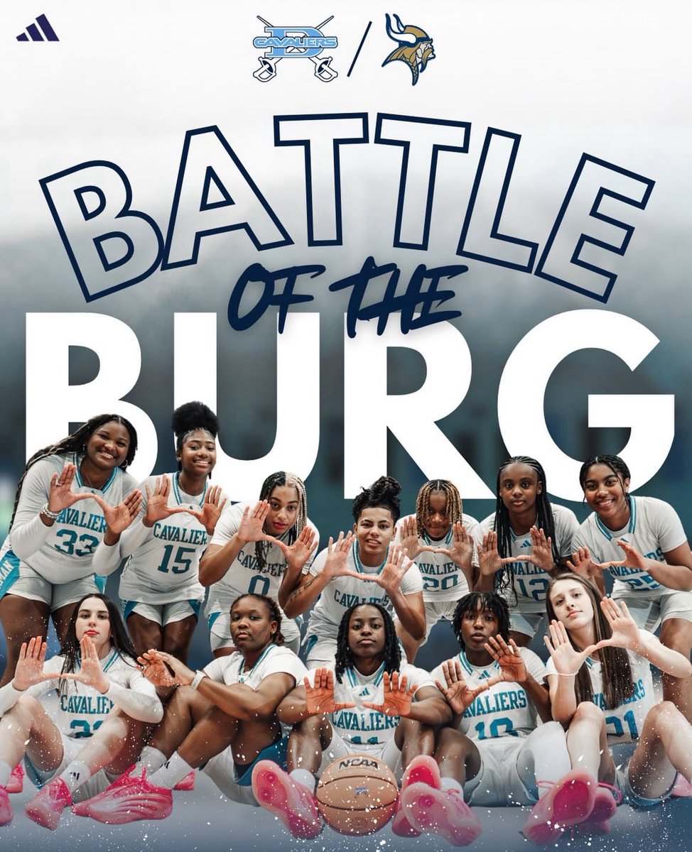 Dorman Girls Basketball tweet media