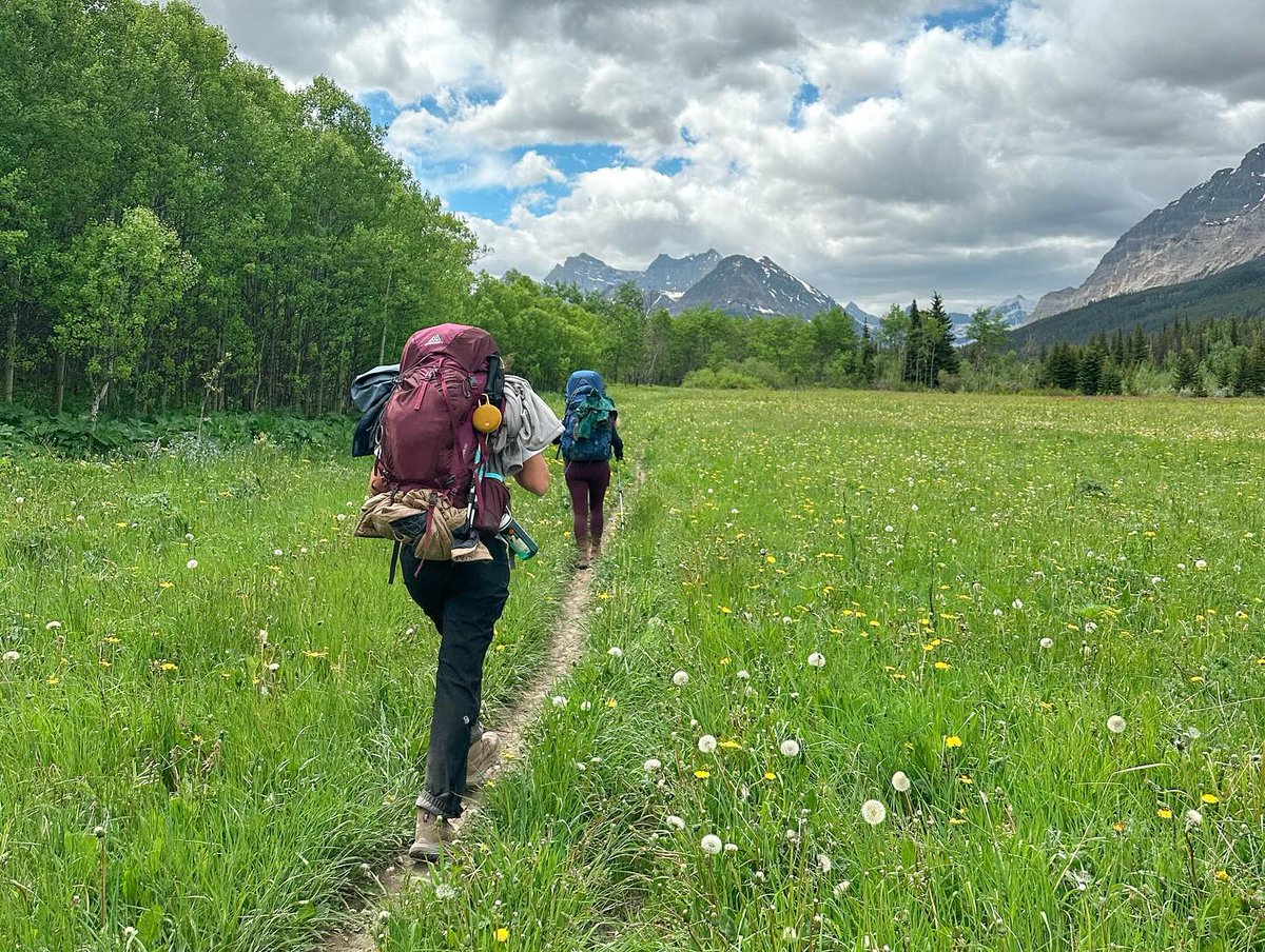 Discover Kalispell tweet media