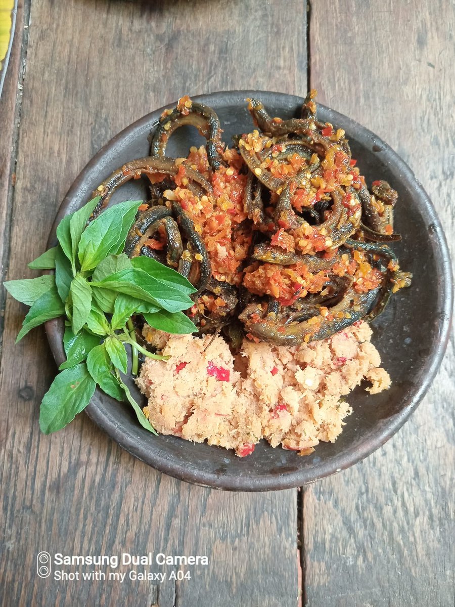 Excel_Dee's tweet photo. Hanya Berbagi,Bukan Menggurui...🙏
Belut di sawah itu bukan cuma soal hewan, tapi indikator ekosistem hidup. Saya jelasin utuh ya, dari ilmiah sampai titen.

Sawah yang masih ada belutnya : artinya apa?

1. Indikator kualitas lingkungan sawah

Secara ekologi, belut sawah (Monopterus albus) hanya betah di sawah yang :

tanahnya masih gembur & berlumpur alami

oksigen tanah masih ada (meski tergenang)

mikroorganisme hidup

tidak tercemar berat (pestisida & limbah keras)

Kalau belut masih banyak :

Sawah itu masih urip, belum mati secara biologis.

Di sawah yang rusak atau kimianya berat, belut biasanya hilang lebih dulu.

2. Pengaruh belut terhadap tanaman padi (ilmiah)

Dampak positif :

Menggemburkan tanah Gerakan belut bikin pori tanah terbuka - akar padi lebih mudah napas.

Membantu sirkulasi air & oksigen Mengurangi tanah anaerob ekstrem.

Mengendalikan hama kecil Belut makan: 

larva serangga

kecebong

hewan kecil pengganggu akar

Mendukung siklus hara Kotorannya jadi nutrisi mikro.

Catatan kecil (bukan hama utama) :

Pada kondisi tertentu, belut bisa menggeser bibit padi muda

Biasanya terjadi jika : 

tanam terlalu jarang

tanah terlalu lembek

bibit masih sangat muda

Tapi ini bukan hama sistemik, lebih ke efek samping fisik.

3. Titen Jawa membaca belut di sawah

Orang tua dulu bilang :

“Yen sawah isih ana welute, tandhane lemah isih adem lan sugih urip.”

Maknanya :

tanah belum panas oleh racun

air masih bersih

panen biasanya lebih tahan penyakit

Belut sering dianggap :

penjaga sawah

tanda keseimbangan air & tanah

4. Hubungannya dengan hasil padi

Sawah yang masih ada belut:

biasanya akar padi lebih kuat

tanaman lebih tahan rebah

serangan hama tanah lebih ringan

respon pupuk organik lebih baik

Banyak petani organik justru menjaga belut, bukan dibasmi.

Belut = indikator sawah sehat
Dampaknya ke padi lebih banyak menguntungkan
Kalau belut hilang, biasanya sawah mulai capek
Sawah hidup = tanah, air, mikroba, dan belut jalan bareng.

Semoga Bermanfaat...🙏

#TitenJawa 
#IlmuTiten