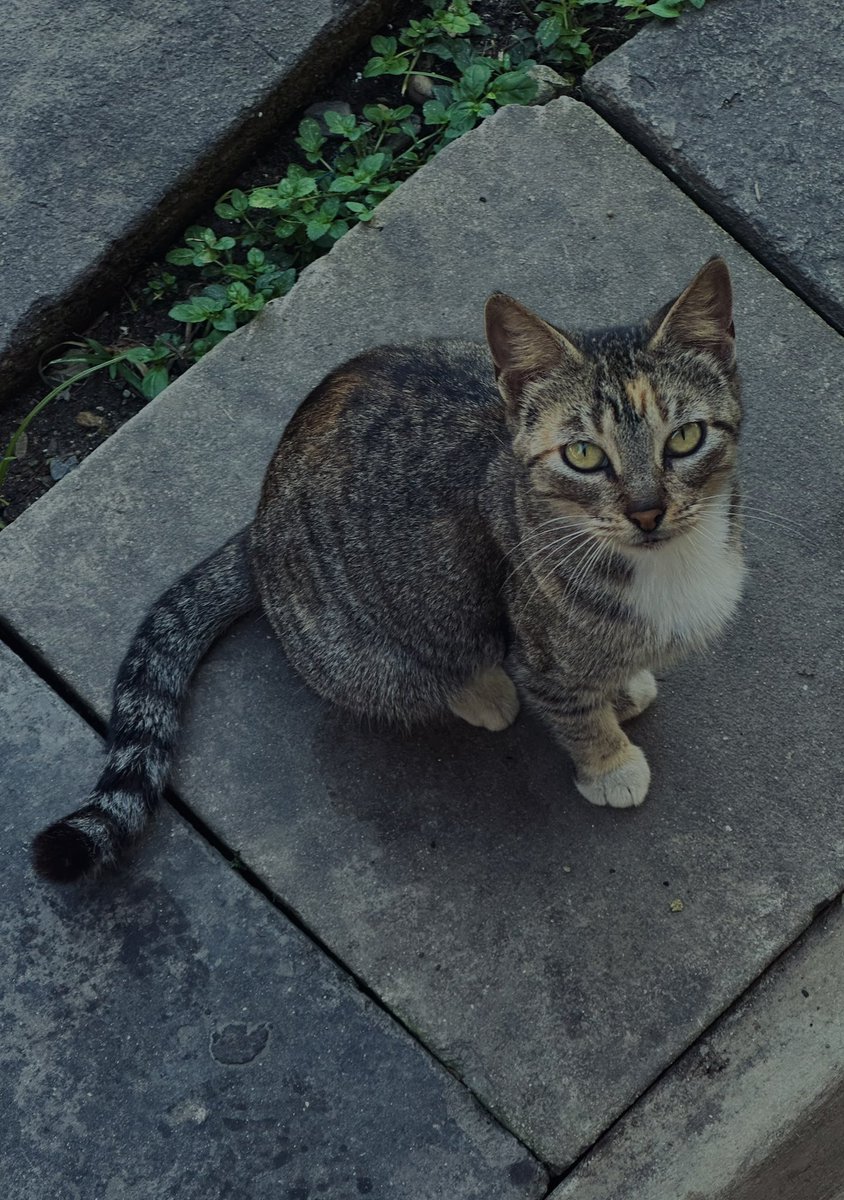 someoneelsekp's tweet image. 6 enero 🌺