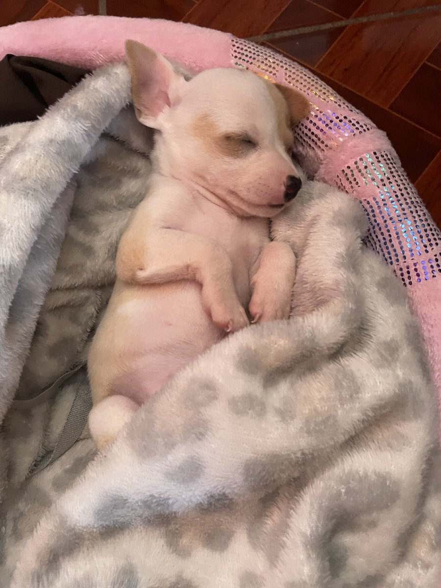 mi bebé💗