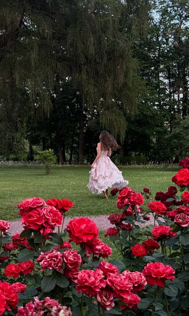 1leio's tweet image. 