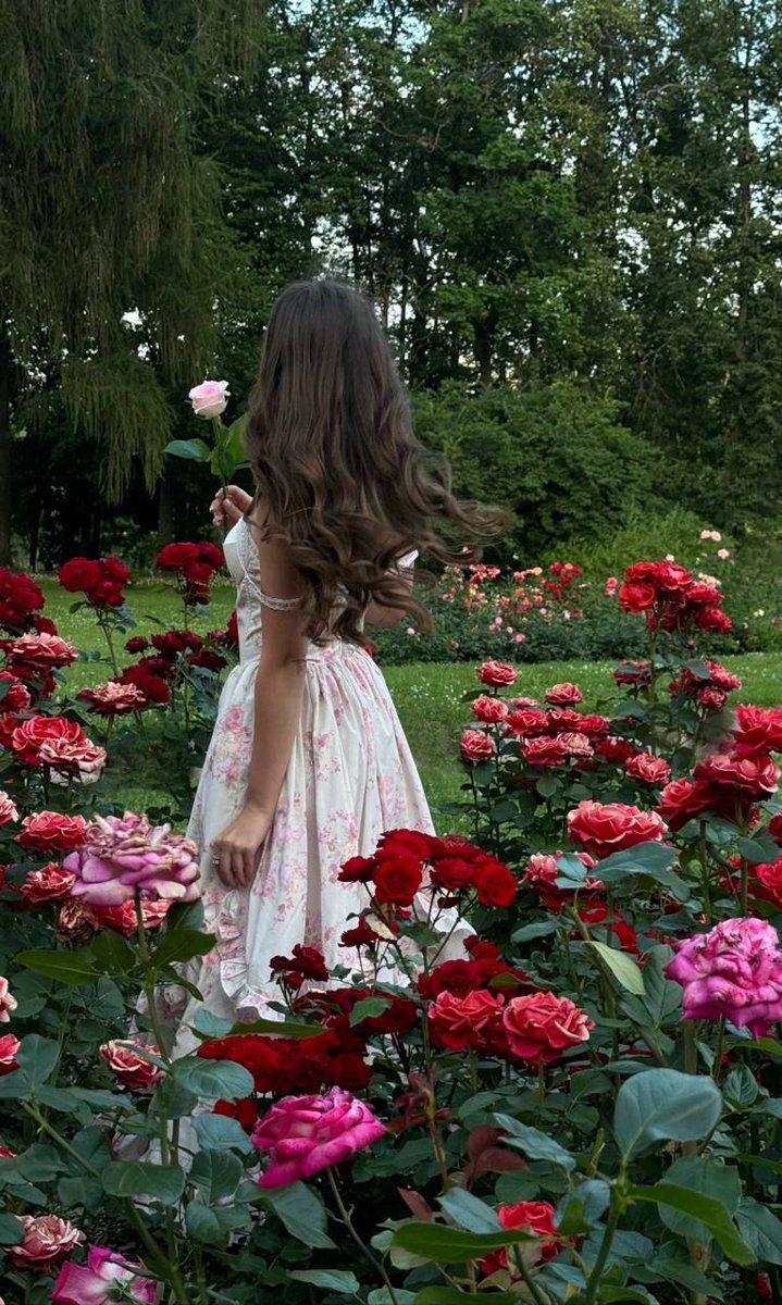 1leio's tweet image. 