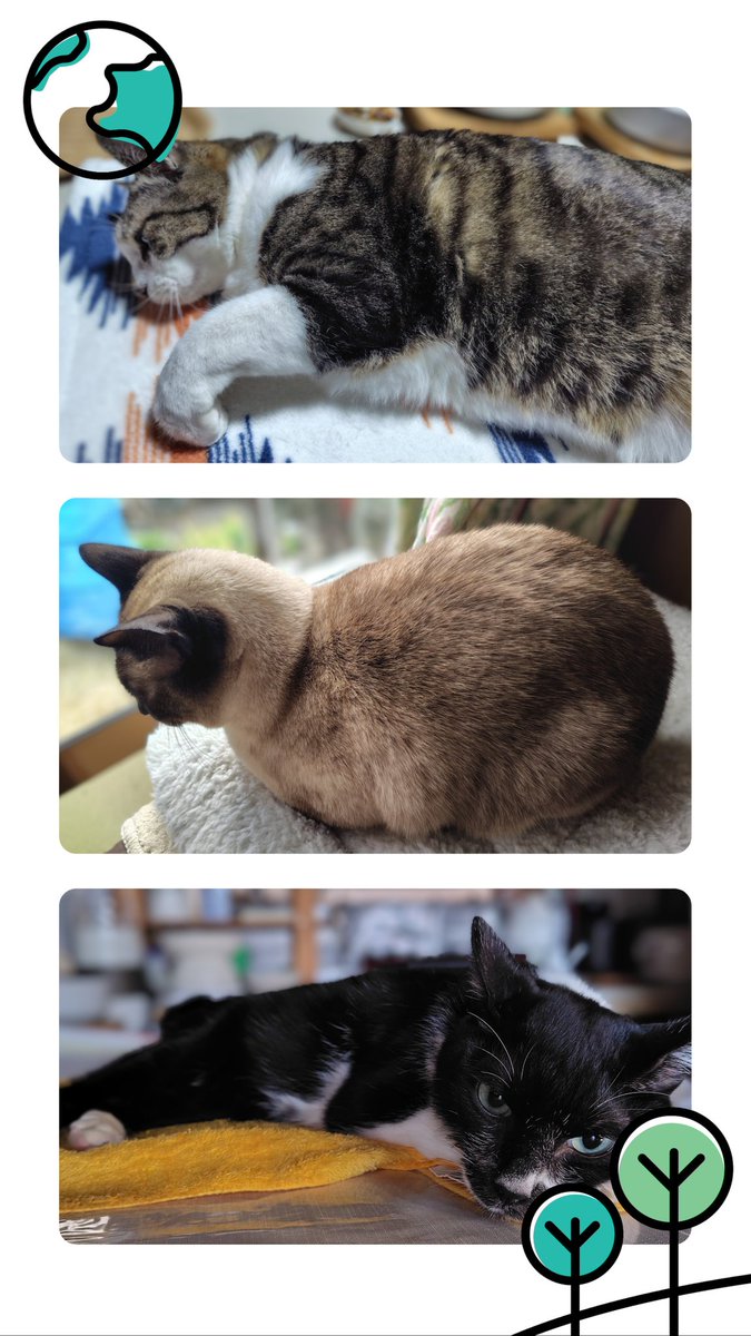 サクちゃんページ Best scheme 내 머리속에