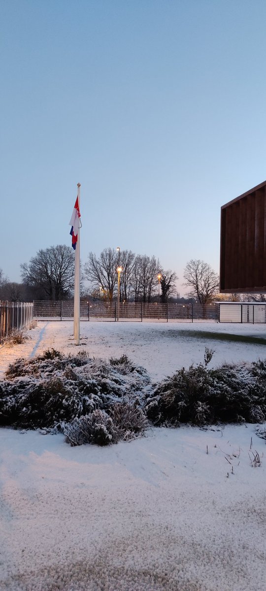 Sébastien Lotodé tweet media
