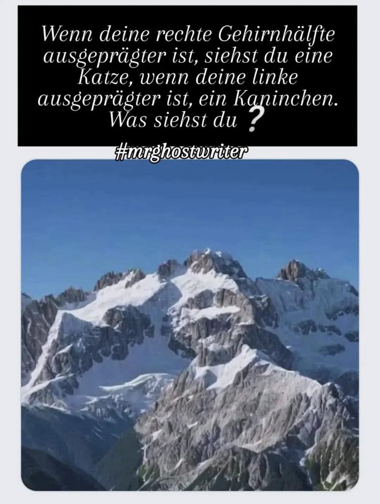 Also ich sehe ein Kaninchen, und ihr? 🐇