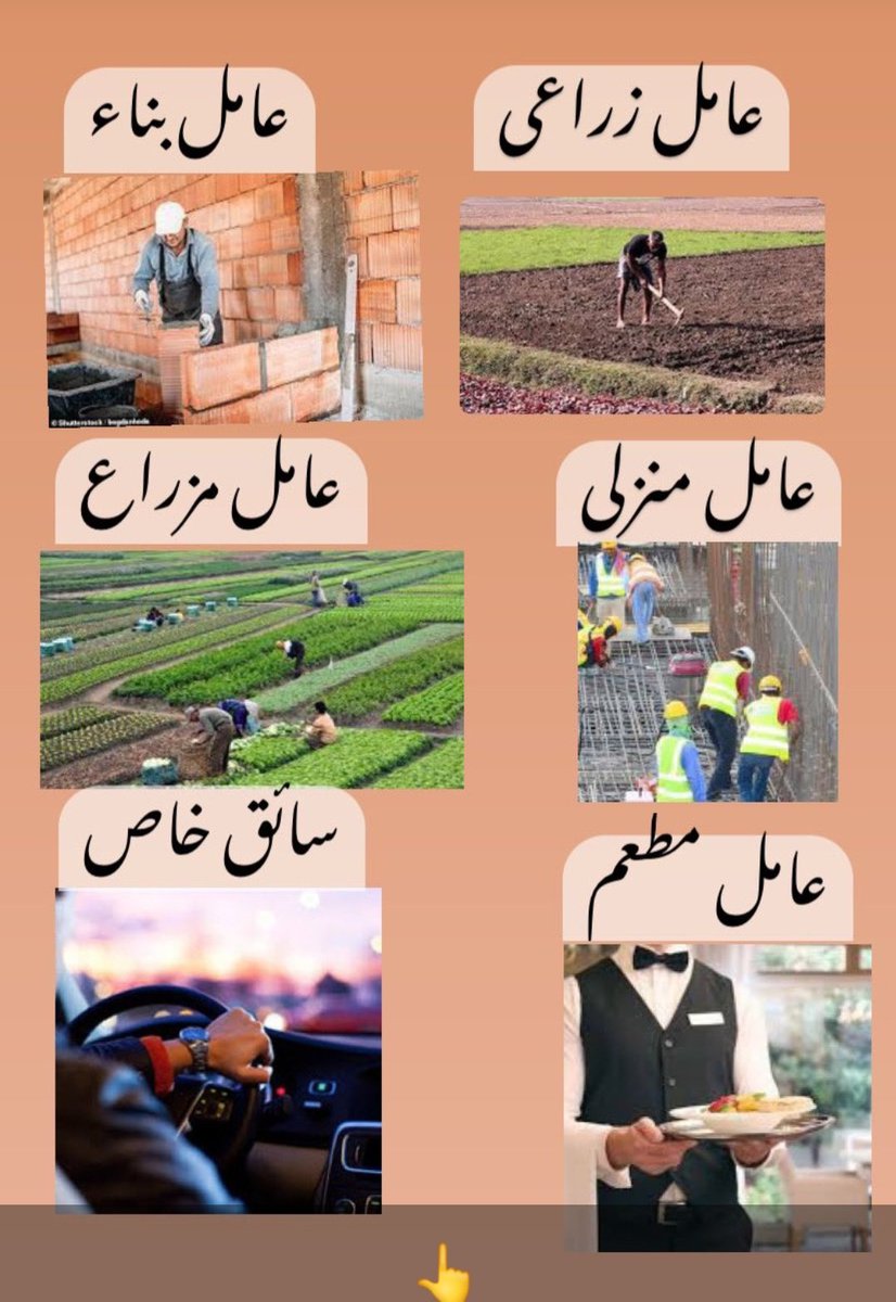 السلام عليكم ورحمه الله وبركاته
مكتب استقدام الهند
عندى موجود عمالين و سواقين سايق خاص سائق_خاص
⚜️ عامل استراحة
⚜️ عامل منزلي 
⚜️ عامل نظافة
⚜️ حلاق،  خياط
⚜️  سباك ، حداد
المدة ٢٠يوم وصل نفر ان شاءالله
⚜️ واتساب
#جده_ٱلأن
#رياض 
#القصيم
#دمام
wa.me/916387787318