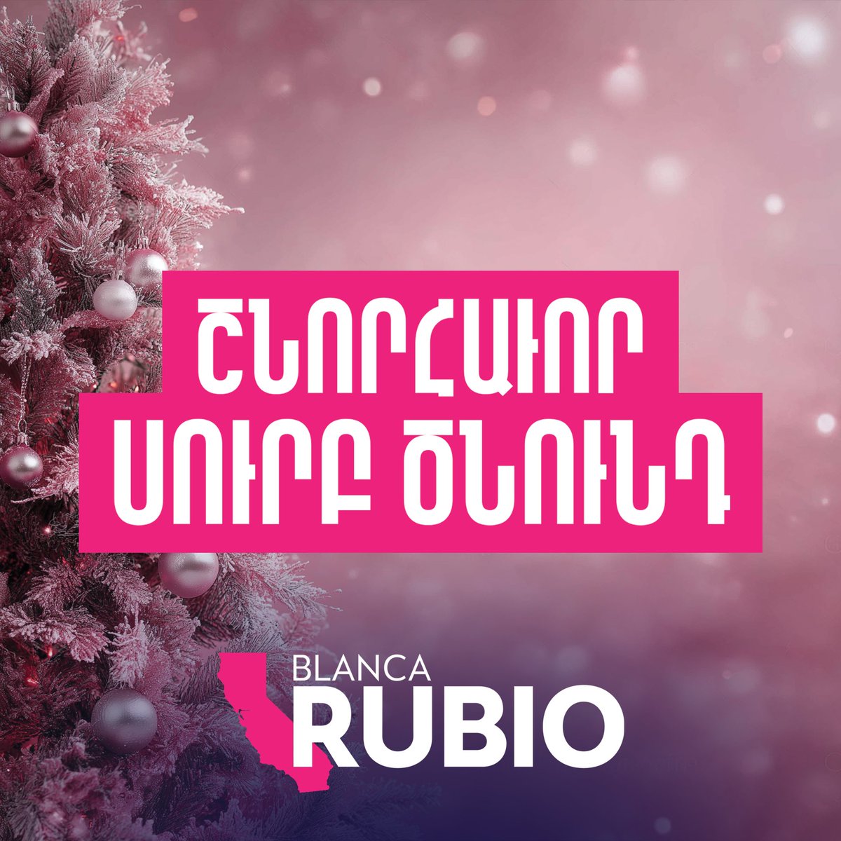 Blanca Rubio tweet media