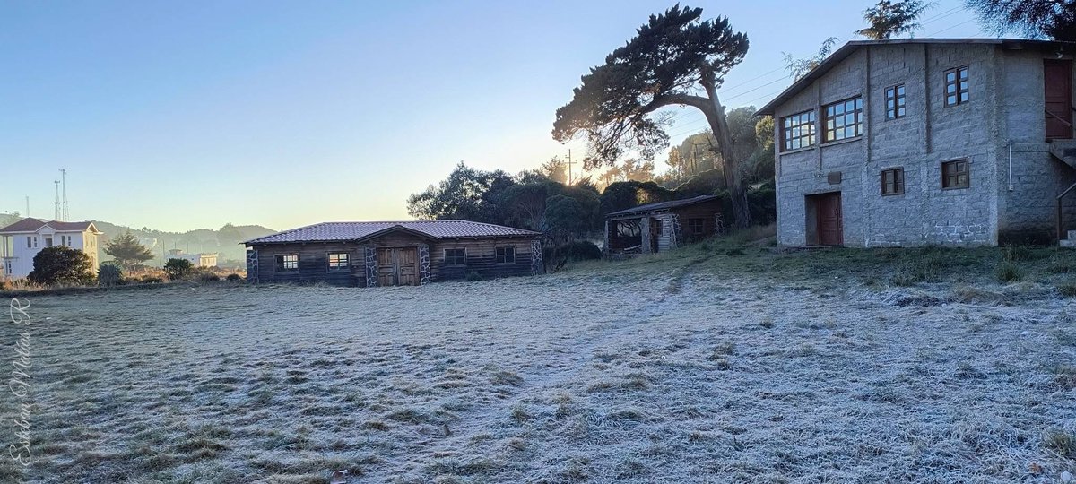 ClimaenGuate's tweet photo. Tremendo frío registrado hoy en Los Cuchumatanes, Huehuetenango.

Se ha reportado una temperatura de -5c y abundante escarcha 🥶🥶🥶🥶

Fotos Esteban Matías https://t.co/8mu2zYQhKG