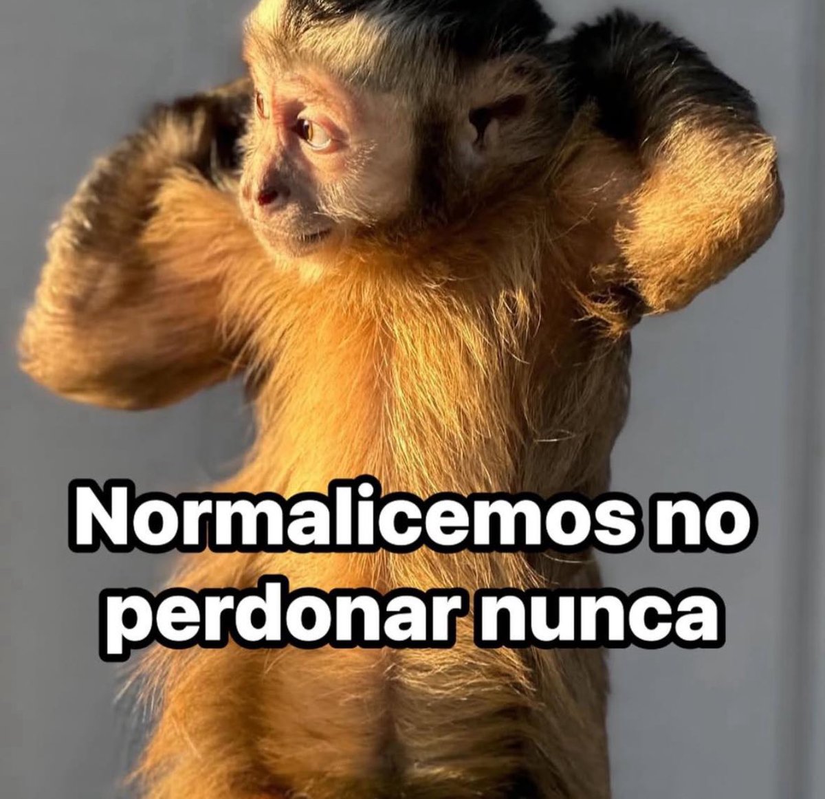 SoyCristianRey's tweet photo. https://t.co/xjX22Jgx83