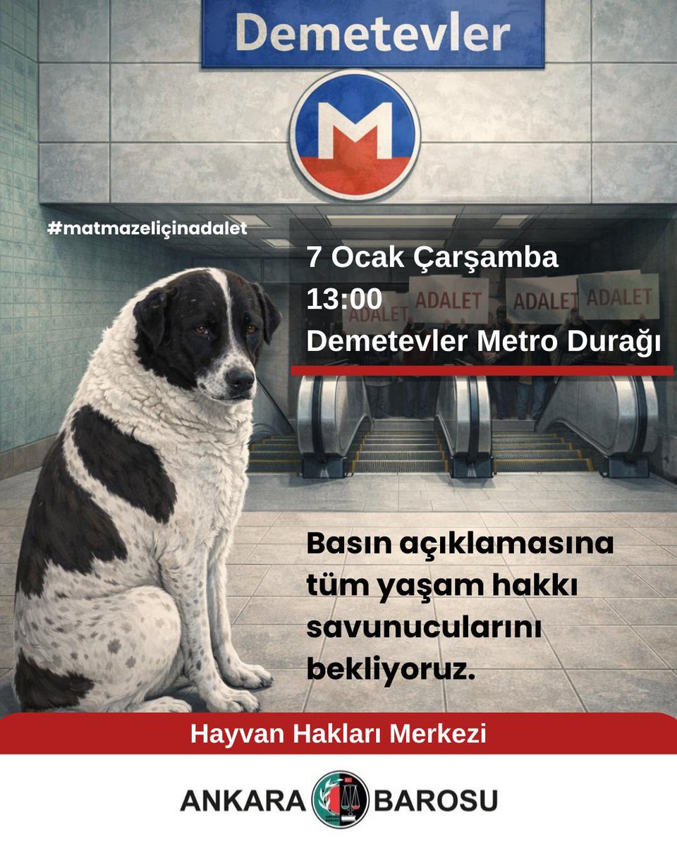Ankara Barosu Hayvan Hakları Merkezi tweet media