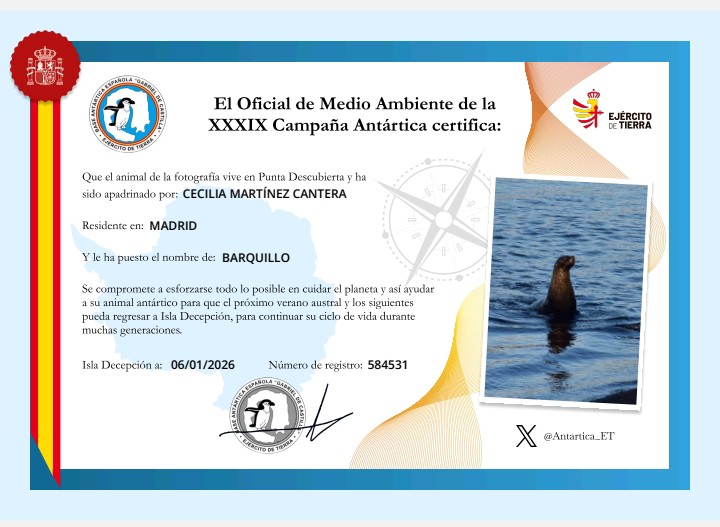 Ilialila's tweet photo. @Antartica_ET He intentado apadrinar dos lobos de mar desde dos dispositivos y dos correos distintos con dos nombres de animal diferentes y me sale la misma foto aunque el código sea diferente.
No sé si habrá sido un error de la web o puntual pero me gustaría saber si se puede arreglar. https://t.co/YgjYHUc2jC