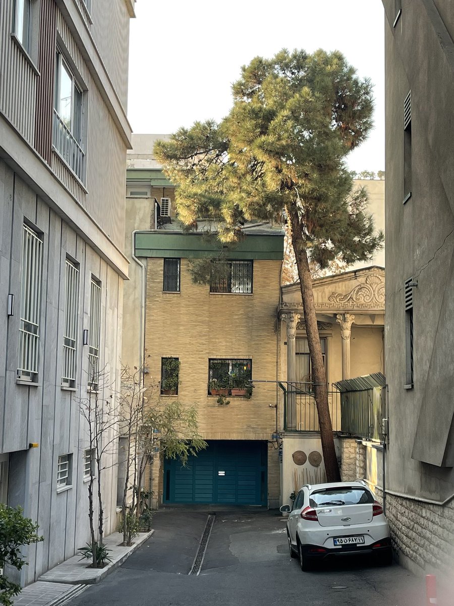 درخت نشانه زندگی است حتی اگر یکی باشد