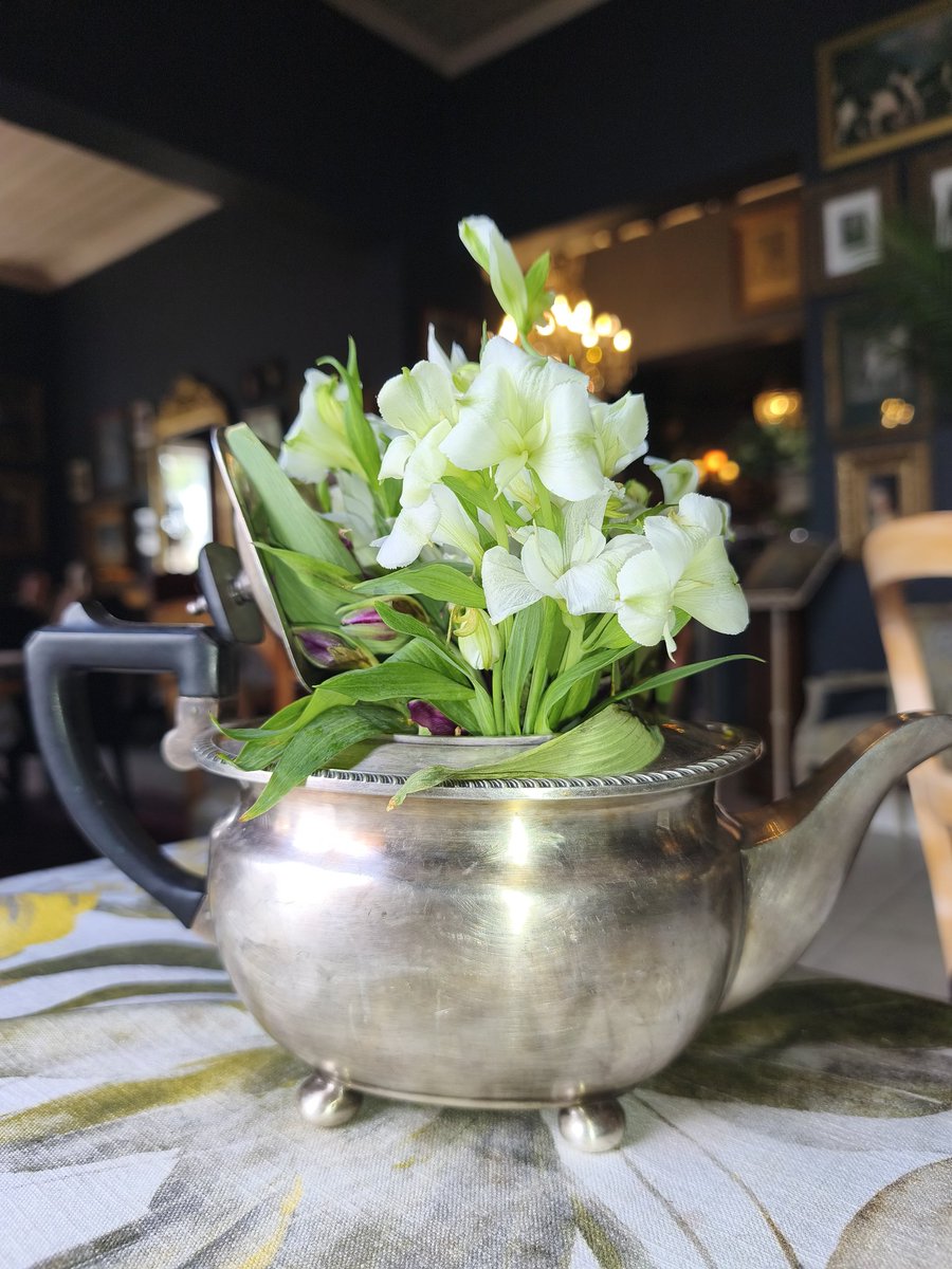 Merentia v d Vent tweet media