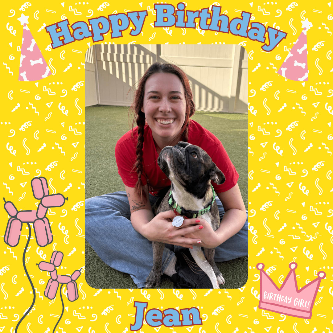 CampBowWow Henderson tweet media