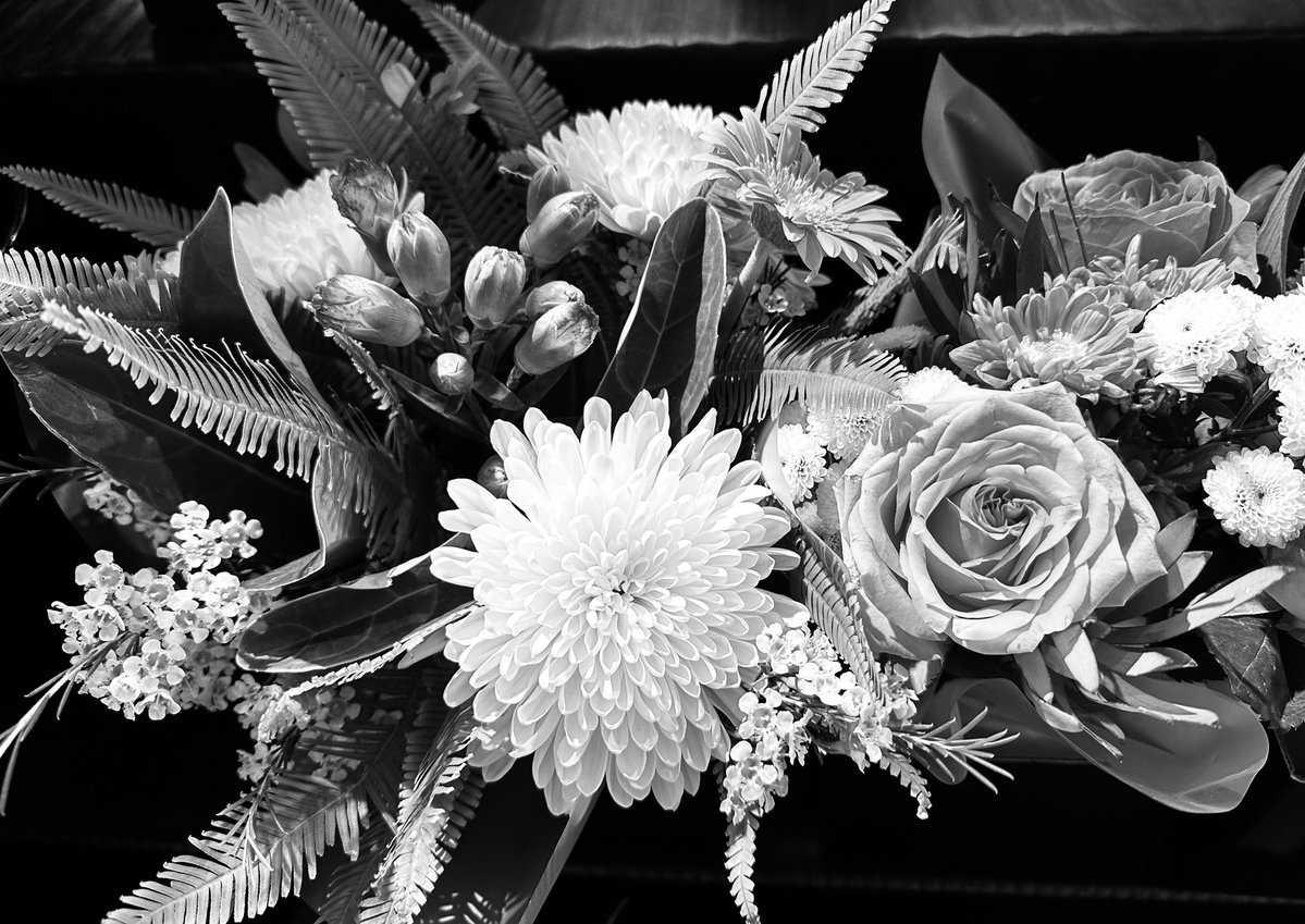 RadugaTourism's tweet image. Brisbane Australia